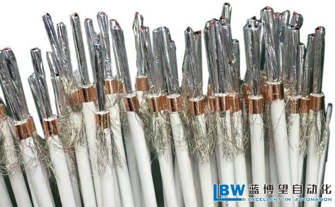 藍(lán)博望自動化