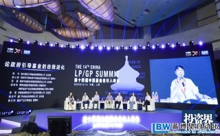 2020年，政府引導(dǎo)基金如何投GP